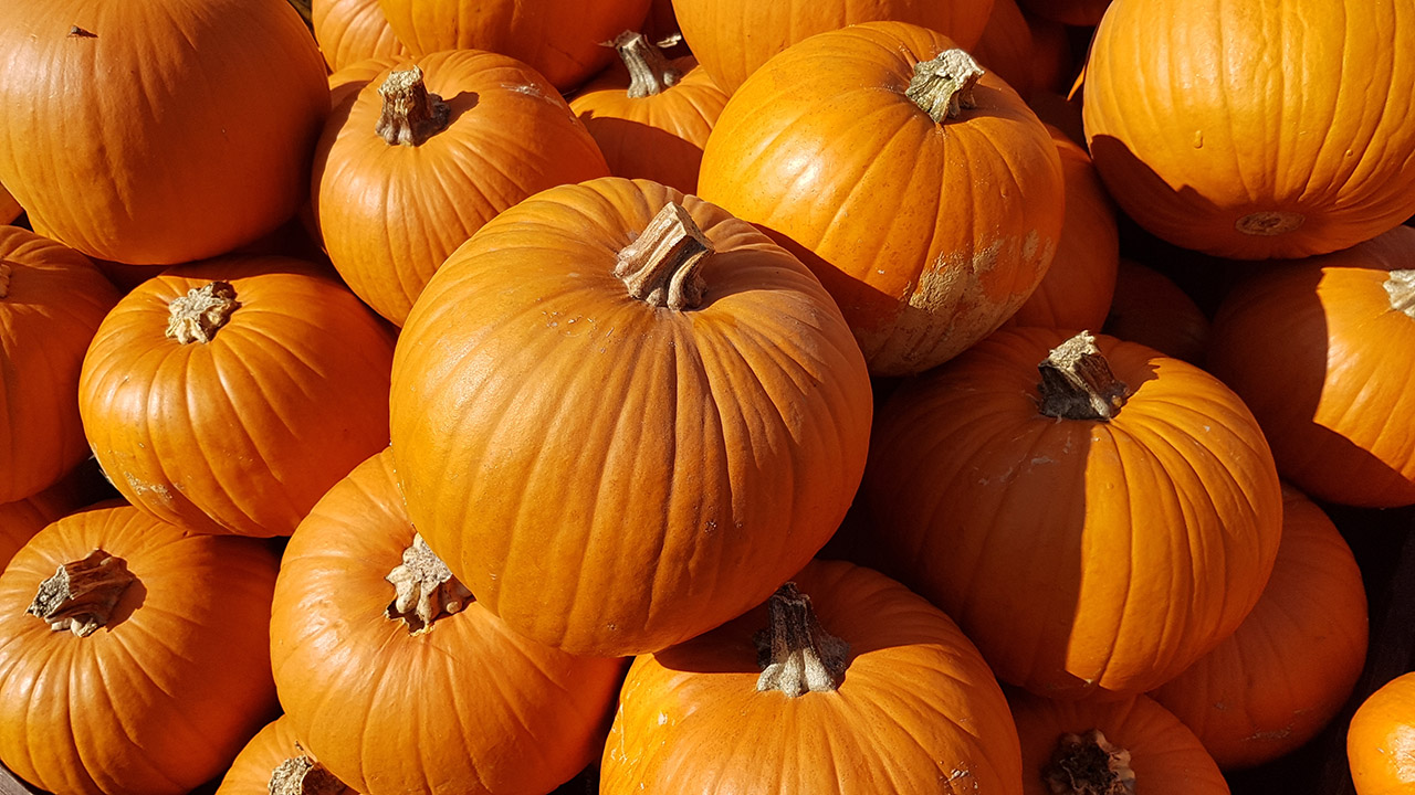 Herbst, die 3. Jahreszeit: Basteln, Dekorieren, Traditionen, Kuscheln